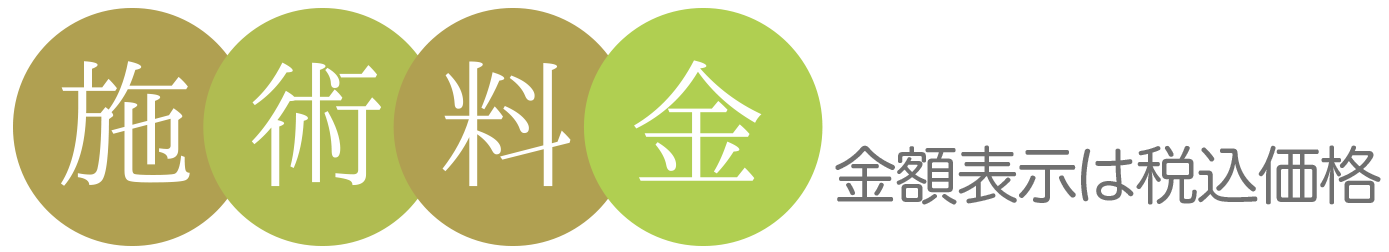 「心身調律セッション」の施術料金